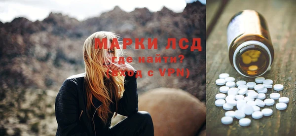 ПСИЛОЦИБИНОВЫЕ ГРИБЫ Богданович