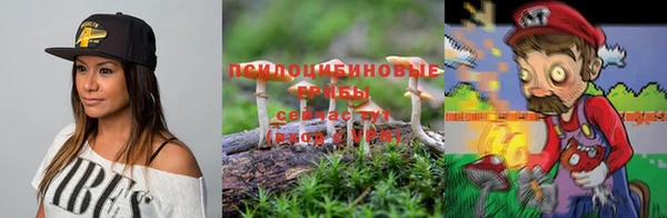 индика Богородск