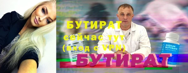 индика Богородск