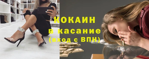 ПСИЛОЦИБИНОВЫЕ ГРИБЫ Богданович