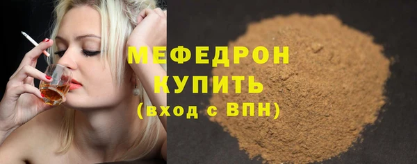 индика Богородск