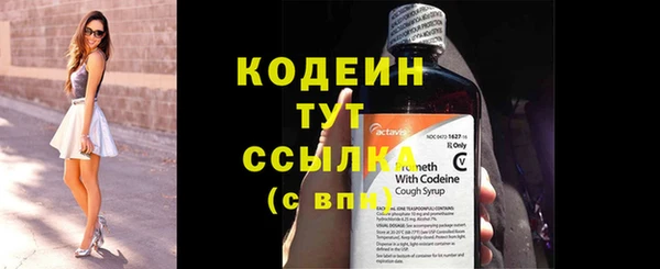 ПСИЛОЦИБИНОВЫЕ ГРИБЫ Богданович