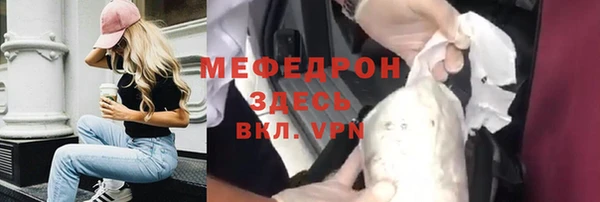индика Богородск
