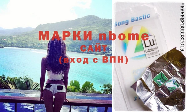 индика Богородск