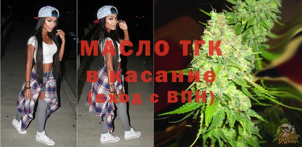 индика Богородск