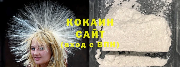 ПСИЛОЦИБИНОВЫЕ ГРИБЫ Богданович