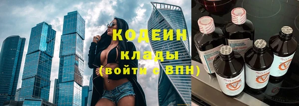 ПСИЛОЦИБИНОВЫЕ ГРИБЫ Богданович