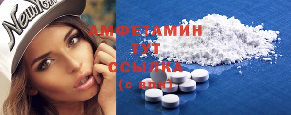 индика Богородск
