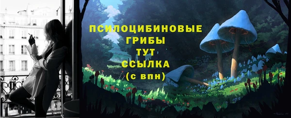 индика Богородск