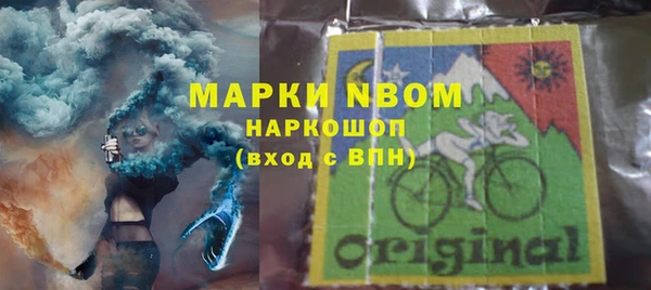 индика Богородск