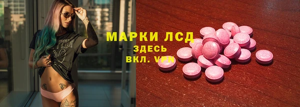 ПСИЛОЦИБИНОВЫЕ ГРИБЫ Богданович