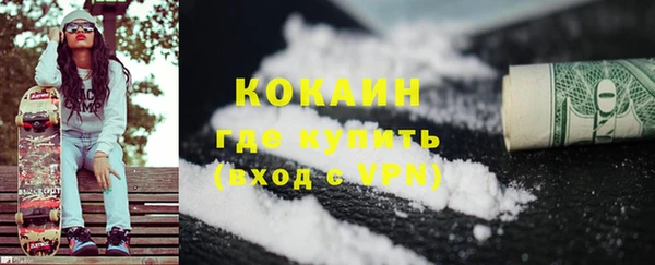индика Богородск