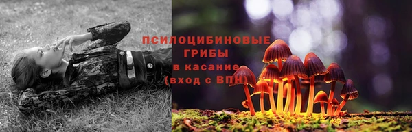 каннабис Богородицк
