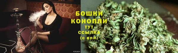 индика Богородск