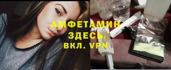ПСИЛОЦИБИНОВЫЕ ГРИБЫ Богданович
